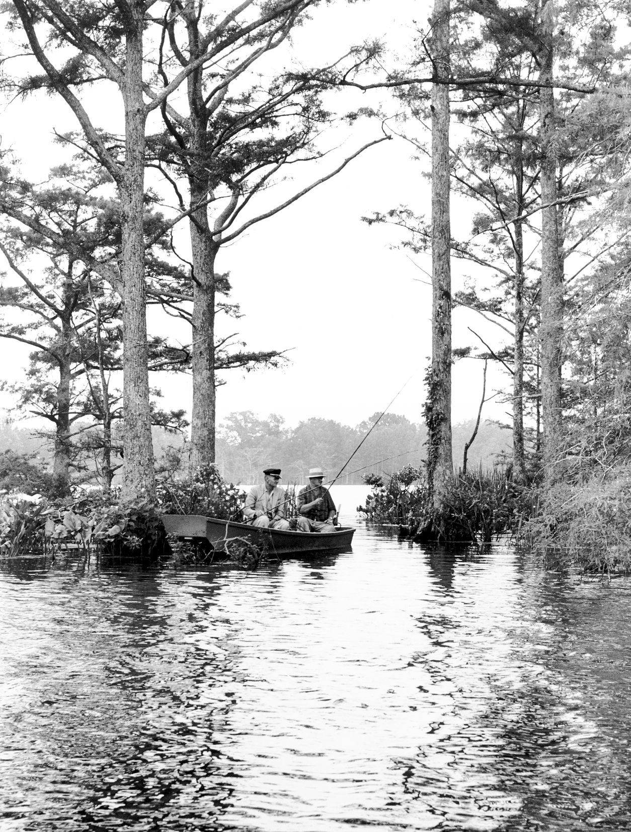 Chickahominy lake